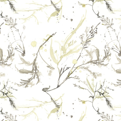 Under Sea Forest Collection F