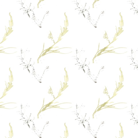 Under Sea Forest Collection H