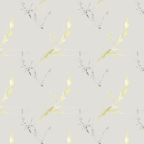 Under Sea Forest Collection I