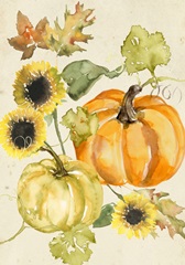 Watercolor Harvest Collection B