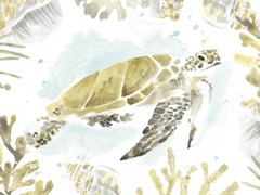Watercolor Sea Turtle Study Collection A