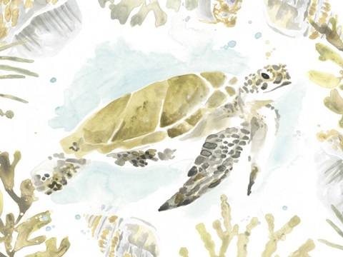 Watercolor Sea Turtle Study Collection A