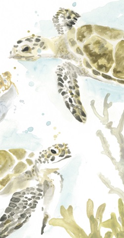 Watercolor Sea Turtle Study Collection B