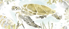 Watercolor Sea Turtle Study Collection D