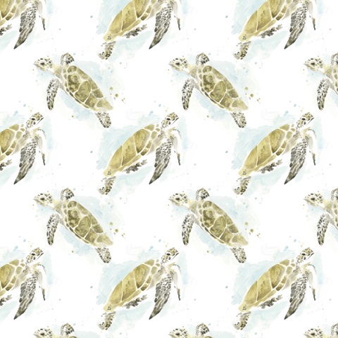 Watercolor Sea Turtle Study Collection H