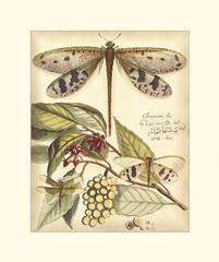 Whimsical Dragonflies I