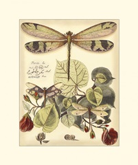 Whimsical Dragonflies II