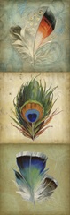 Feather Triptych I
