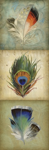 Feather Triptych I