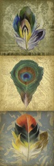Feather Triptych II
