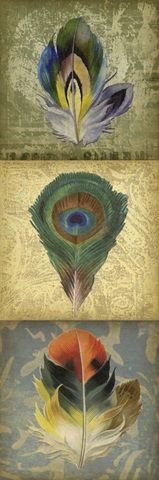 Feather Triptych II