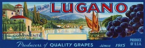 Vintage Wine Label III