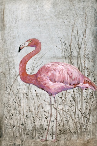 American Flamingo II
