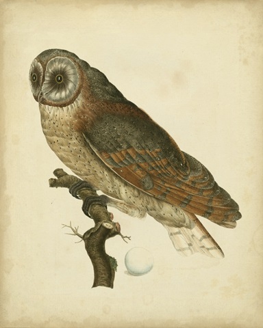 Antique Nozeman Owl IV