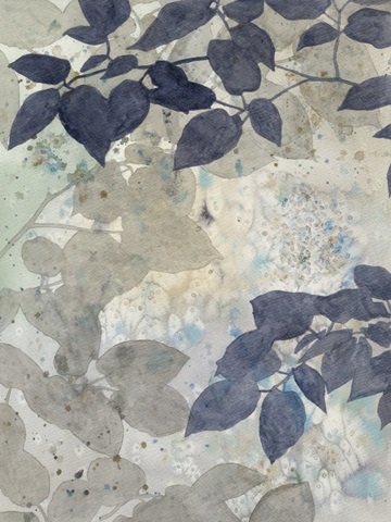 Aquarelle Shadows II