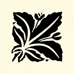 BandW Graphic Beauty I