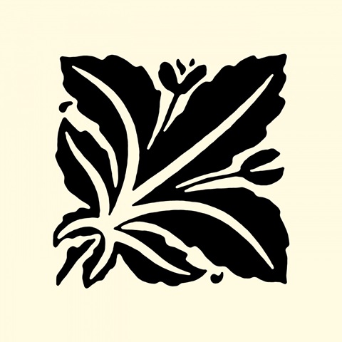 BandW Graphic Beauty I