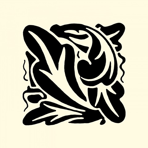 BandW Graphic Beauty II