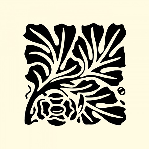 BandW Graphic Beauty III