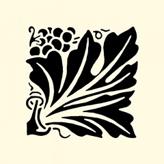 BandW Graphic Beauty IV