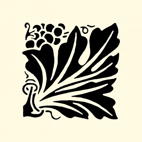 BandW Graphic Beauty IV