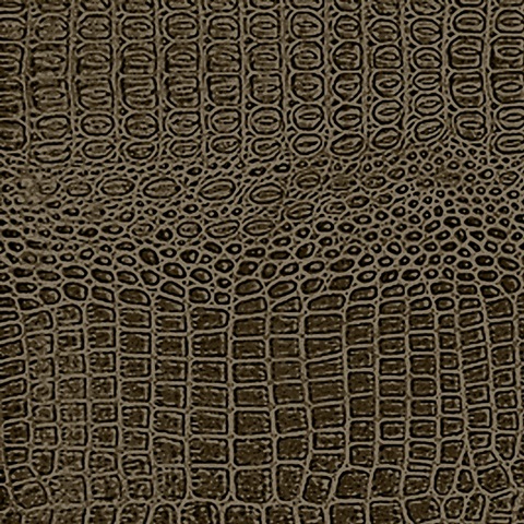 Animal Instinct VIII