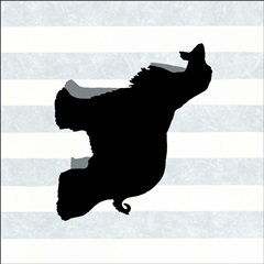 Afghan Hound in Neutral