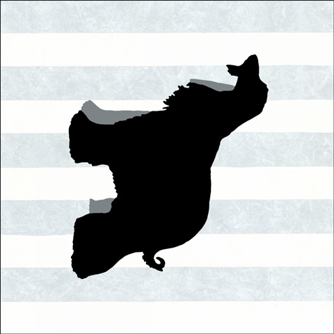 Afghan Hound in Neutral