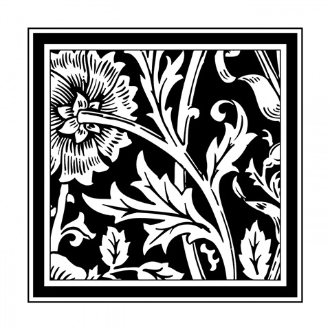 BandW Graphic Floral Motif IV
