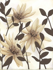 Blossoming Silhouette I