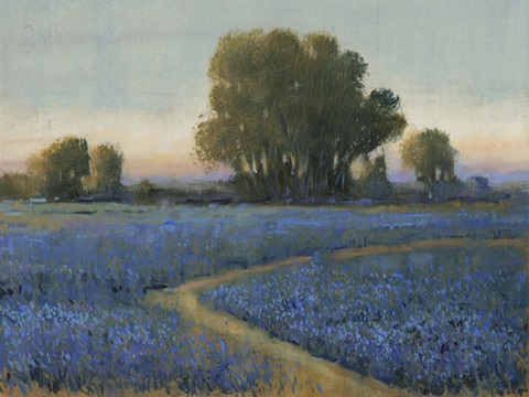 Blue Bonnet Field I