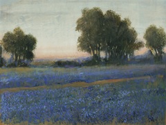 Blue Bonnet Field II