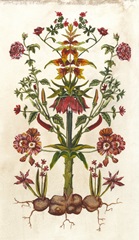 Botanical Hybrid I