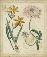 Botanical Repertoire I