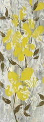 Buttercups on Grey I
