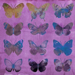 Butterflies on Magenta