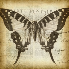 Carte Postale Butterfly I