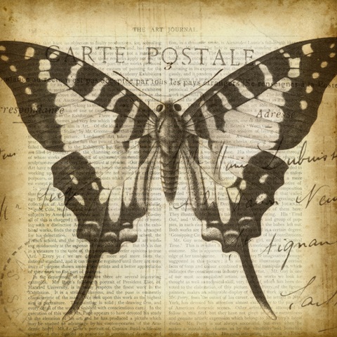 Carte Postale Butterfly I