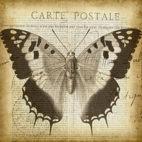 Carte Postale Butterfly II