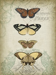 Cartouche and Butterflies I