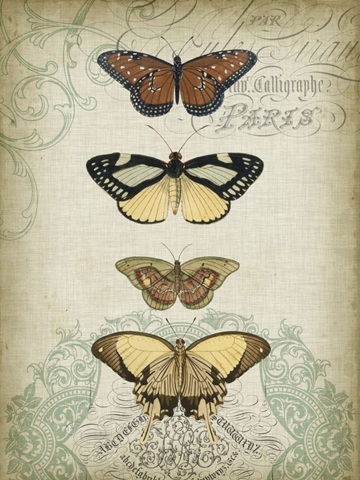 Cartouche and Butterflies I