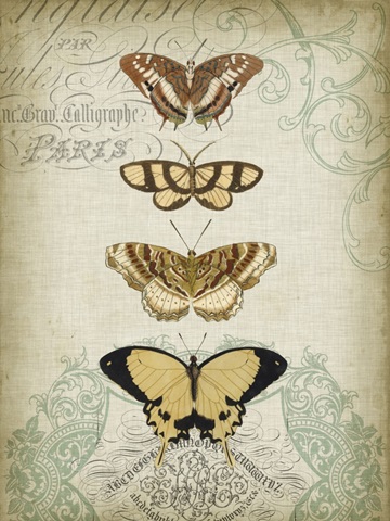 Cartouche and Butterflies II