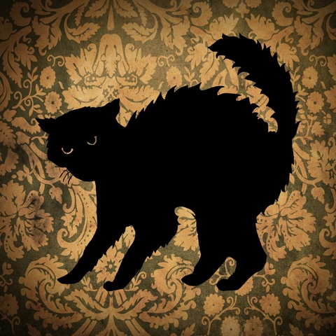Cat and Damask