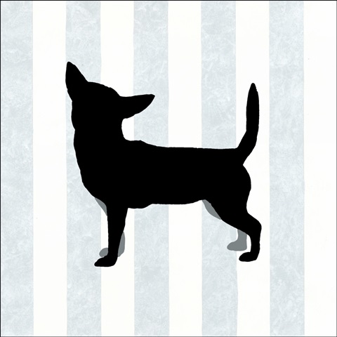 Chihuahua in Neutral