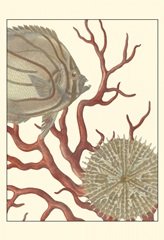 Coastal Collection I