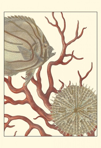 Coastal Collection I