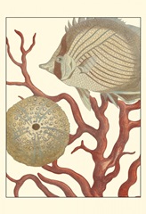 Coastal Collection II