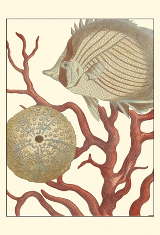 Coastal Collection II