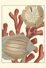 Coastal Collection III