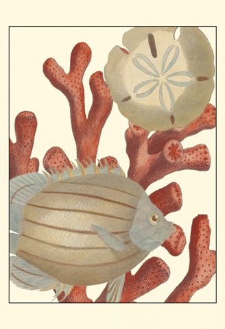 Coastal Collection III